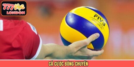 Cá Cược Bóng Chuyền - Nâng Tầm Đam Mê, Trải Nghiệm Kịch Tính