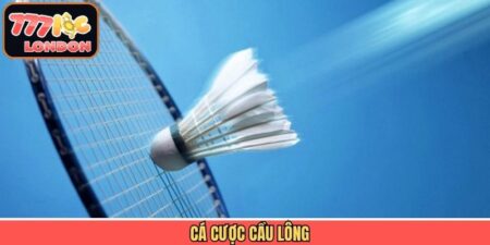 Cá Cược Cầu Lông - Bộ Môn Dành Cho Tín Đồ Đam Mê Thể Thao