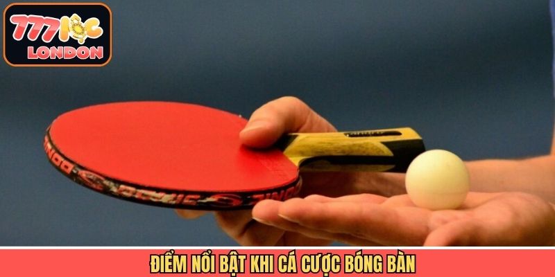 Ưu điểm hấp dẫn khi tham gia cá cược bóng bàn