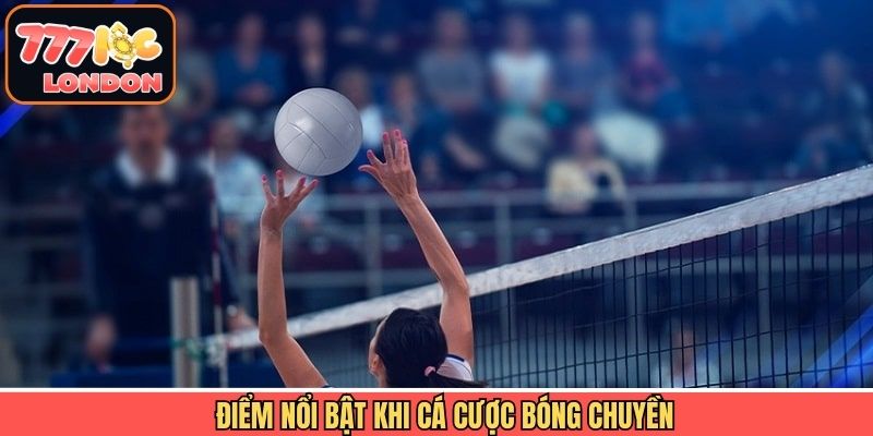 Điểm hấp dẫn khiến cá cược bóng chuyền được ưa chuộng