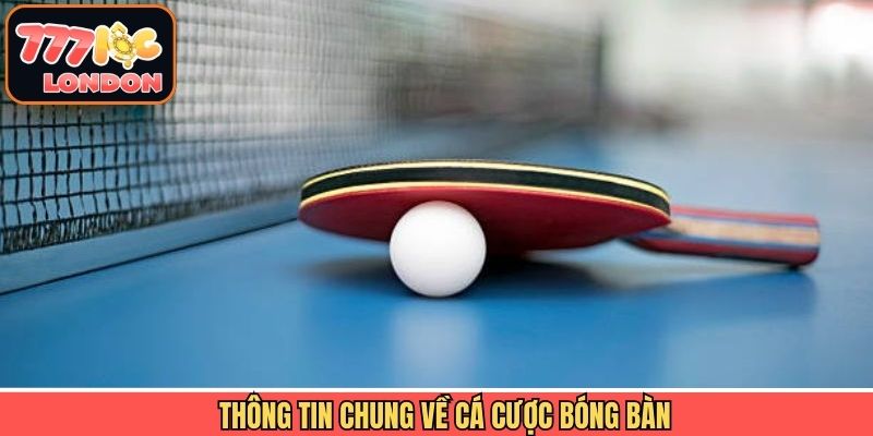 Đôi nét tìm hiểu chung về hình thức cá cược bóng bàn