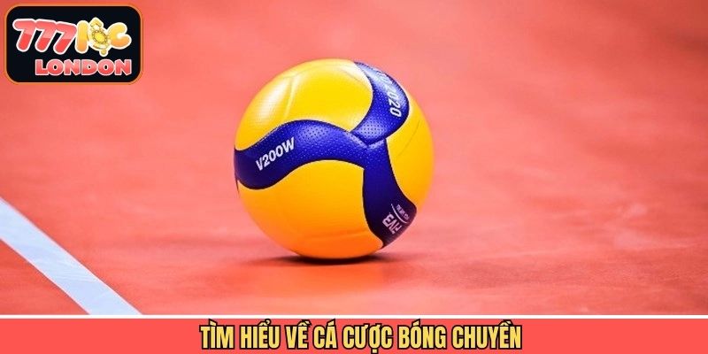 Khái quát đôi chút về hình thức cá độ bóng chuyền